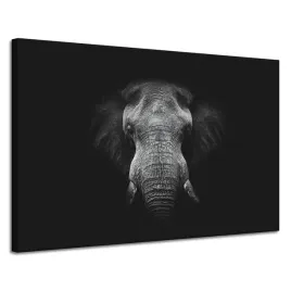 obraz-na-plotnie-twarz-szarego-slonia-traba-kly-120x80-cm