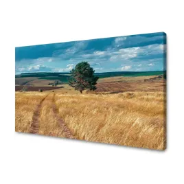 obraz-na-plotnie-pole-zboza-natura-chmury-krajobraz-120x70-cm