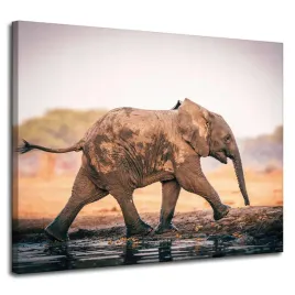 obraz-na-plotnie-blotnisty-biegnacy-slon-przyroda-100x80-cm