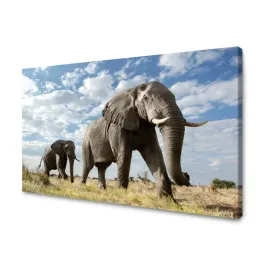 obraz-na-plotnie-duze-szare-slonie-afryka-natura-120x70-cm