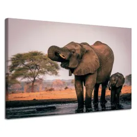 obraz-na-plotnie-slonie-w-wodzie-afryka-natura-120x80-cm