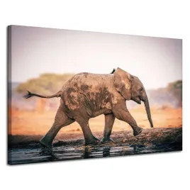 obraz-na-plotnie-blotnisty-biegnacy-slon-przyroda-120x80-cm
