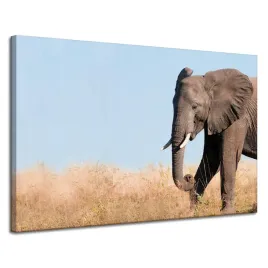obraz-na-plotnie-szary-duzy-slon-z-traba-sawanna-cieplo-120x80-cm