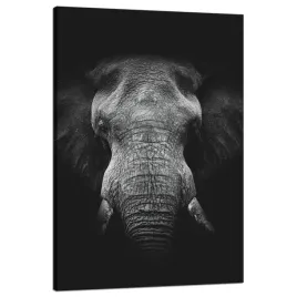 obraz-na-plotnie-twarz-szarego-slonia-traba-kly-80x120-cm