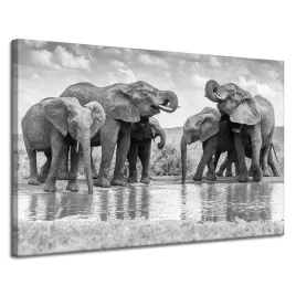 obraz-na-plotnie-slonie-przy-wodzie-szarosc-natura-120x80-cm