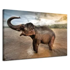 obraz-na-plotnie-slon-woda-chmury-przyroda-kapiel-120x80-cm