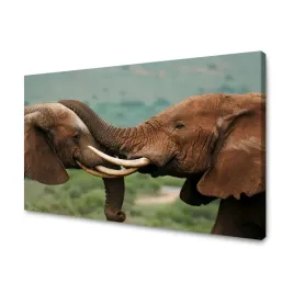 obraz-na-plotnie-para-sloni-blisko-siebie-natura-piekno-przyrody-120x70-cm