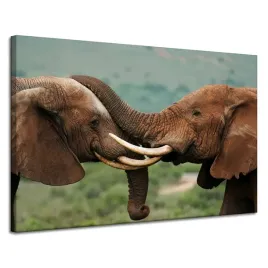 obraz-na-plotnie-para-sloni-blisko-siebie-natura-piekno-przyrody-120x80-cm