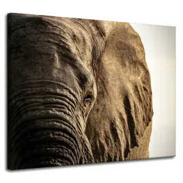 obraz-na-plotnie-twarz-slonia-oko-przyroda-100x80-cm