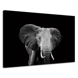 obraz-na-plotnie-szary-duzy-slon-na-czarnym-tle-120x80-cm