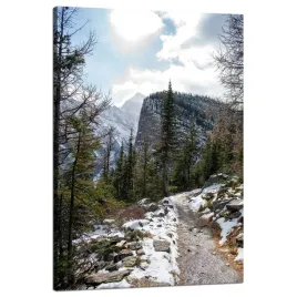 obraz-na-plotnie-natura-szlak-gorski-snieg-80x120-natura-zimowy-klimat
