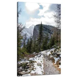 obraz-na-plotnie-natura-szlak-gorski-snieg-70x120-natura-zimowy-klimat
