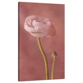 obraz-na-plotnie-botanika-rozowa-peonia-70x120-cm-na-pudrowo-rozowym-tle