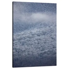 obraz-na-plotnie-natura-las-w-sniegu-80x120-cm-zima-w-gorach-zimowy-klimat