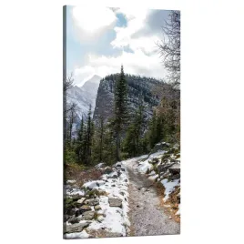obraz-na-plotnie-natura-szlak-gorski-snieg-60x120-natura-zimowy-klimat
