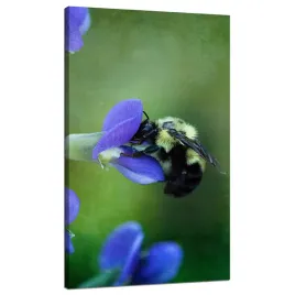 obraz-na-plotnie-botanika-pszczola-kwiat-70x120-cm-fioletowe-platki-polana