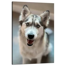 obraz-na-plotnie-zwierzeta-portret-psa-80x120-cm-pies-radosny-pupil-husky