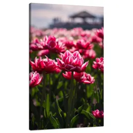 obraz-na-plotnie-botanika-tulipany-kwiaty-70x120-bukiet-kwiatow-otwarty-pak