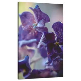 obraz-na-plotnie-botanika-kwiat-hortensji-70x120-fioletowe-platki-rosa
