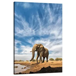 obraz-na-plotnie-wielki-slon-na-sawannie-piasek-80x120-cm