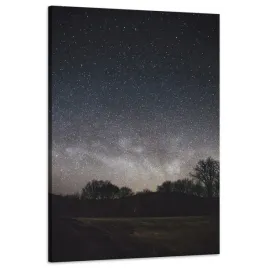 obraz-na-plotnie-kosmos-gwiezdziste-niebo-60x90-cm-gwiazdozbiory-niebo