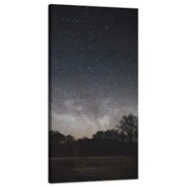 obraz-na-plotnie-kosmos-gwiezdziste-niebo-40x80-cm-gwiazdozbiory-niebo