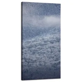 obraz-na-plotnie-natura-las-w-sniegu-40x80-cm-zima-w-gorach-zimowy-klimat