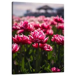 obraz-na-plotnie-botanika-tulipany-kwiaty-50x70-cm-bukiet-kwiatow-otwarty