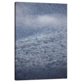 obraz-na-plotnie-natura-las-w-sniegu-40x60-cm-zima-w-gorach-zimowy-klimat