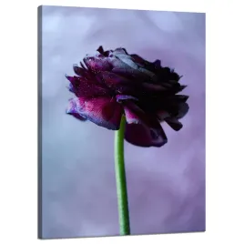 obraz-na-plotnie-botanika-fioletowy-kwiat-50x70-cm-na-zachmurzonym-niebie