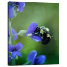 obraz-na-plotnie-botanika-pszczola-kwiat-40x50-cm-fioletowe-platki-polana