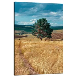 obraz-na-plotnie-pole-zboza-natura-chmury-krajobraz-80x120-cm