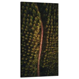 obraz-na-plotnie-natura-droga-z-lotu-ptaka-60x120-lesna-drozka-z-gory-las