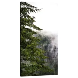 obraz-na-plotnie-natura-gory-zamglony-las-60x120-po-deszczu-choinka-widok