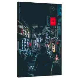 obraz-na-plotnie-architektura-japonia-70x120-cm-tokio-azja-cyberpunk-noc