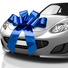 kokarda-prezentowa-wielka-z-przyssawkami-na-samochod-76cm-niebieska-xxl