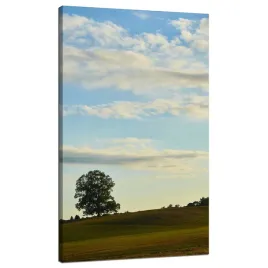 obraz-na-plotnie-natura-drzewko-w-polu-70x120-cm-niebo-laka-chmury-pole