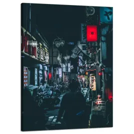 obraz-na-plotnie-architektura-japonia-50x70-cm-tokio-azja-cyberpunk-noc