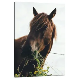 obraz-na-plotnie-zwierzeta-glowa-konia-80x120-cm-kon-stajnia-jazda-konna
