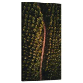 obraz-na-plotnie-natura-droga-z-lotu-ptaka-40x80-lesna-drozka-z-gory-las