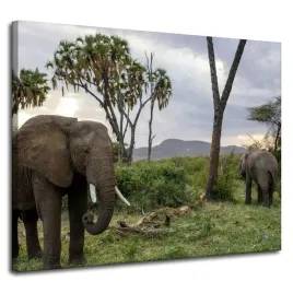 obraz-na-plotnie-zwierzeta-slonie-sawanna-100x80-afryka-roslinnosc-kly