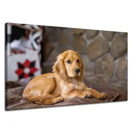 obraz-na-plotnie-zwierzeta-piesek-cocker-120x70-cm-spaniel-pies-szczeniak