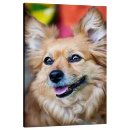 obraz-na-plotnie-zwierzeta-chihuahua-80x120-cm-radosny-slodki-maly-piesek