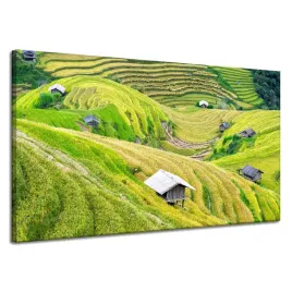 obraz-na-plotnie-natura-tarasy-rolne-120x70-cm-wzgorza-zielona-kolorystyka