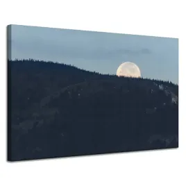 obraz-na-plotnie-natura-wschodzacy-ksiezyc-120x80-wieczorna-pola-nostalgia
