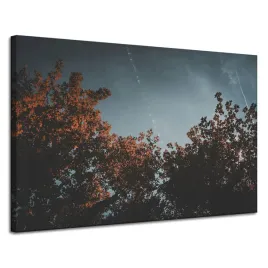 obraz-na-plotnie-pomaranczowe-korony-drzew-120x80-jesien-niebo-przed-burza