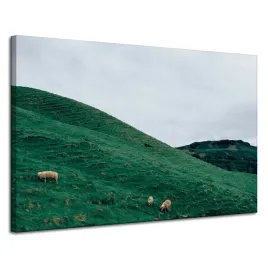 obraz-na-plotnie-natura-pastwisko-w-gorach-120x80-laki-mongoli-horyzont