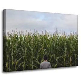 obraz-na-plotnie-natura-pole-kukurydzy-70x50-cm-mezczyzna-zachmurzone-niebo
