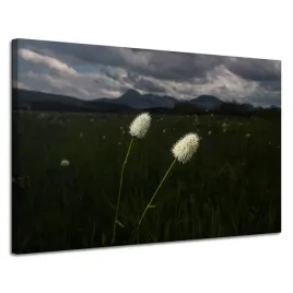 obraz-na-plotnie-natura-kwiatki-polne-120x80-cm-pole-gory-roslinnosc-chmury