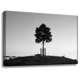 obraz-na-plotnie-natura-samotne-drzewo-czern-i-biel-60x40-wzgorze-nostalgia